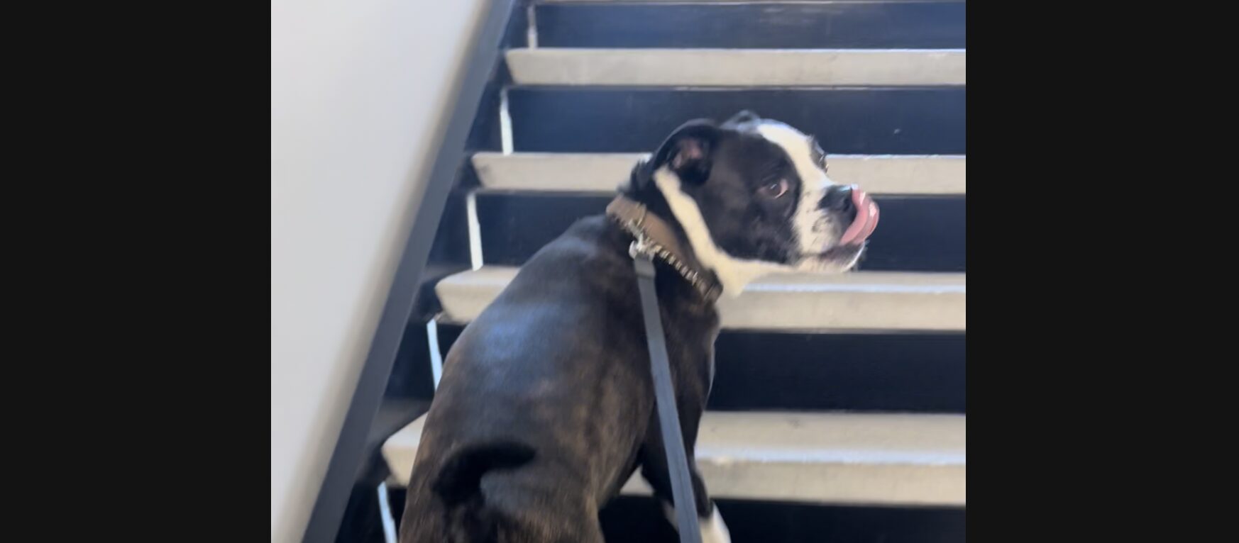 Stairway to Happiness